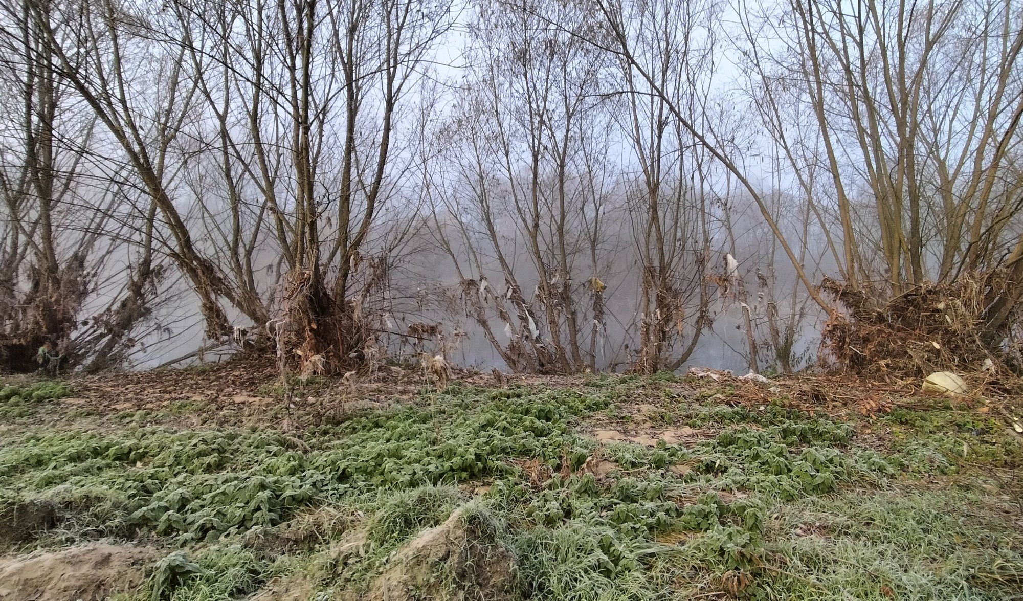 sprzatanie-doliny-bobru-129145