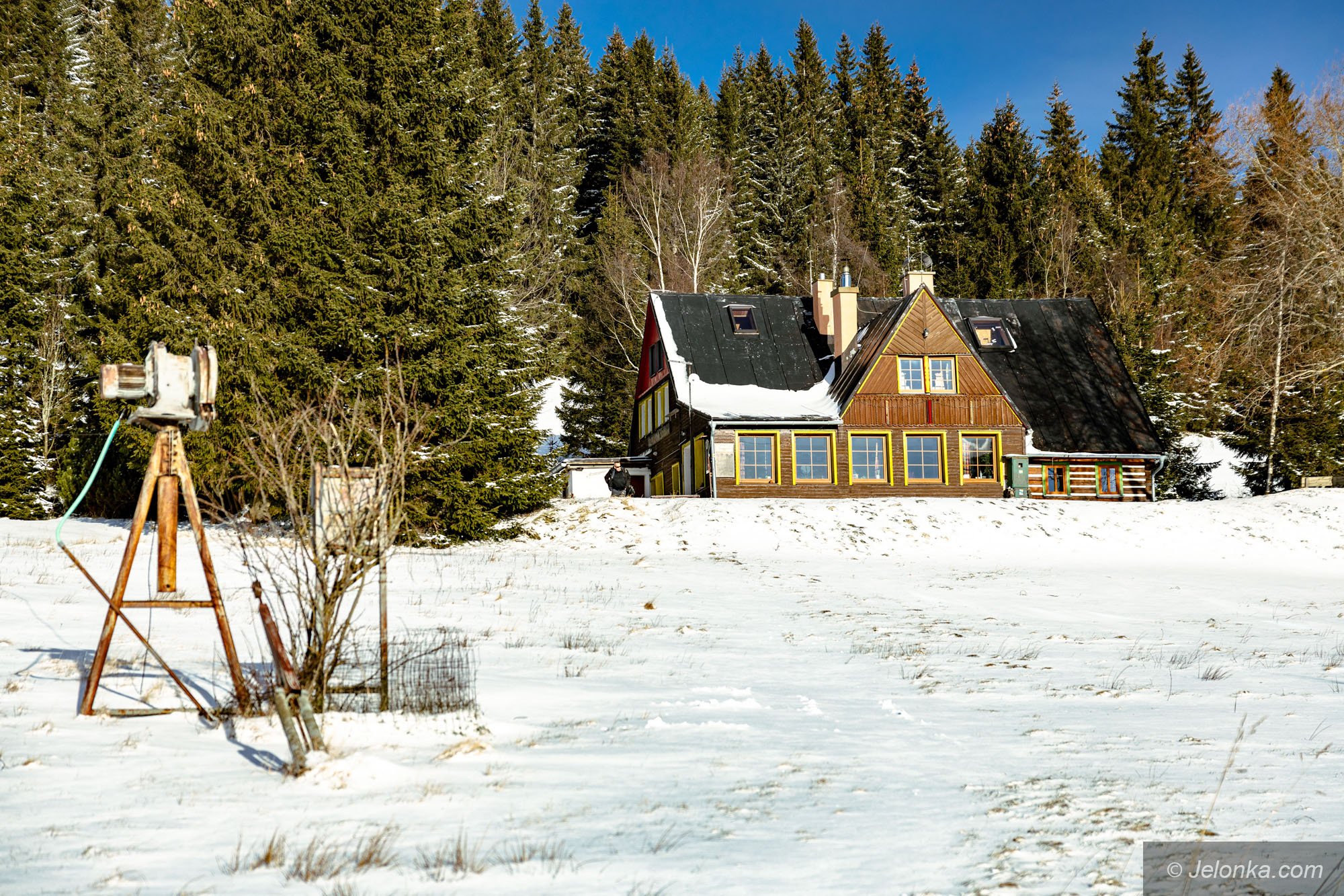 zima-na-okraju-ocieplenie-w-jeleniej-gorze-129250