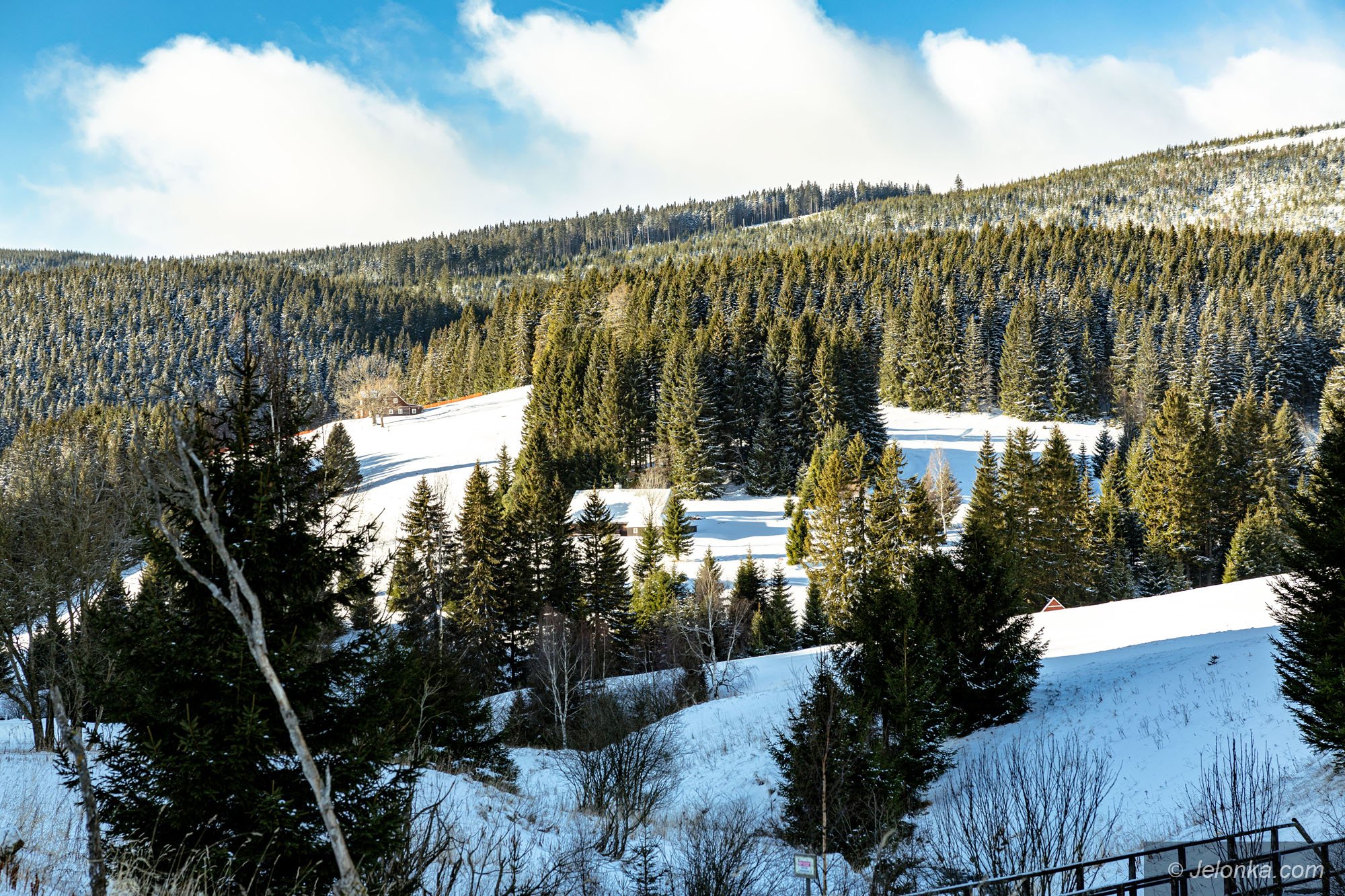 zima-na-okraju-ocieplenie-w-jeleniej-gorze-129250
