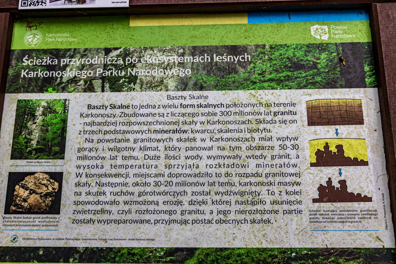 w-koncu-powiekszanie-kpn-czy-nie-129303