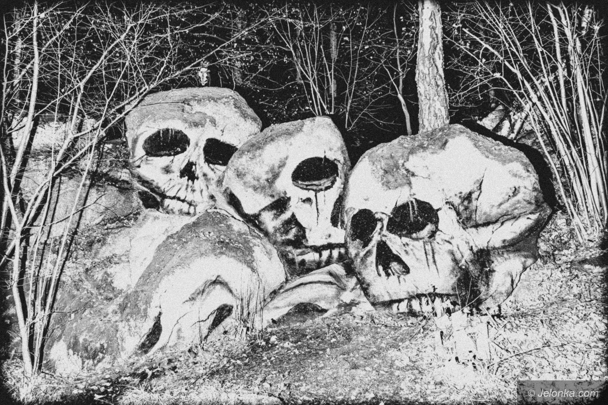 kolorowo-przy-czaszkach-129428