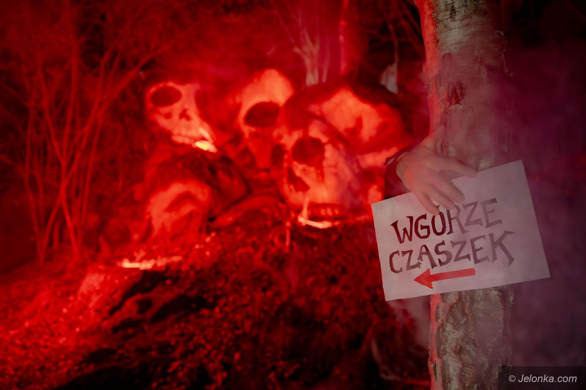 kolorowo-przy-czaszkach-129428