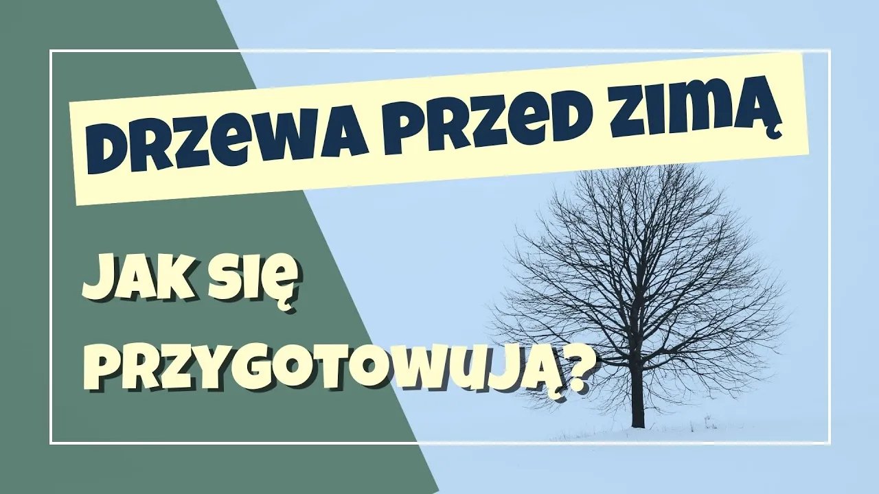 karkonosze-gotowe-do-zimy-129521