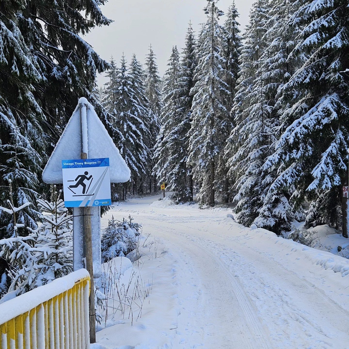 startuje-sezon-biegowy-w-jakuszycach-129524