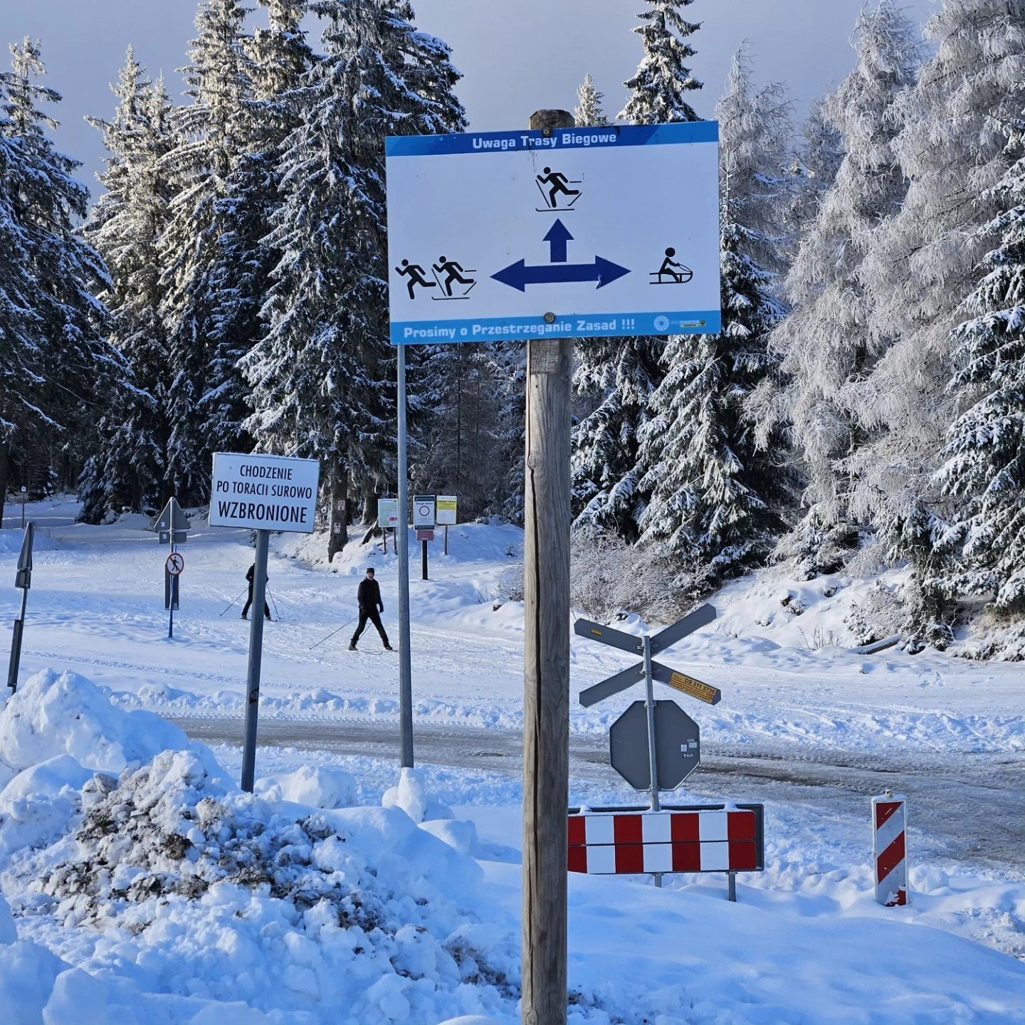 startuje-sezon-biegowy-w-jakuszycach-129524