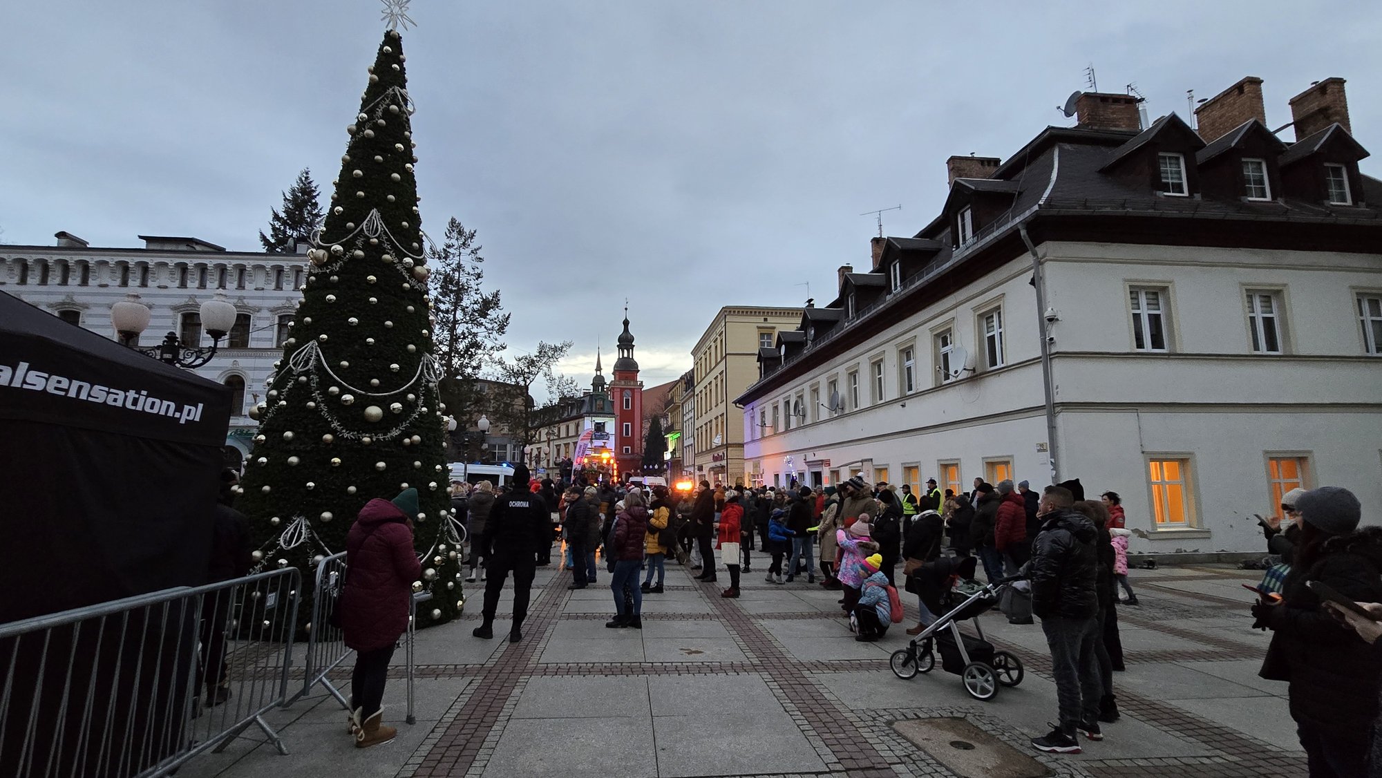 choinka-w-cieplicach-juz-swieci-129526