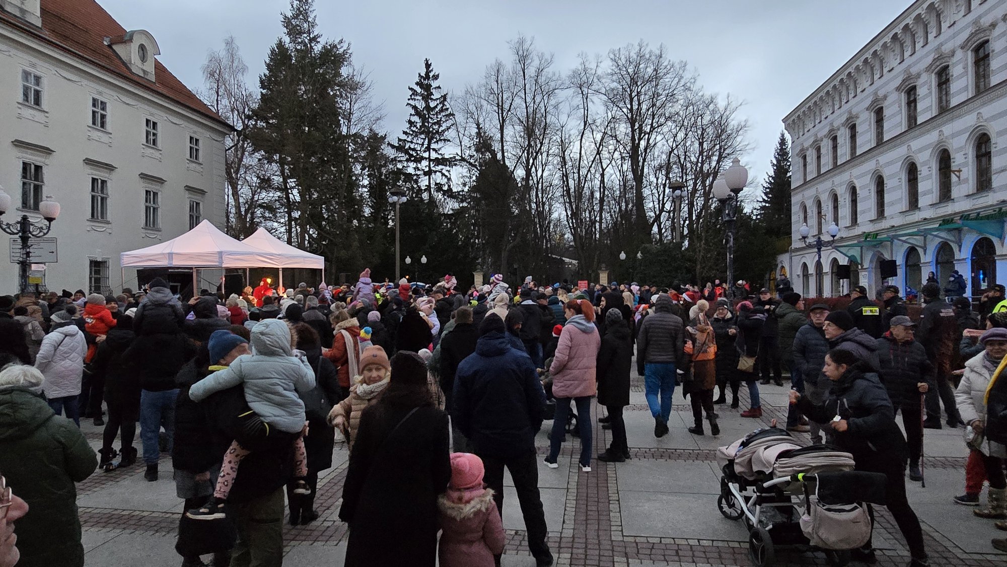 choinka-w-cieplicach-juz-swieci-129526
