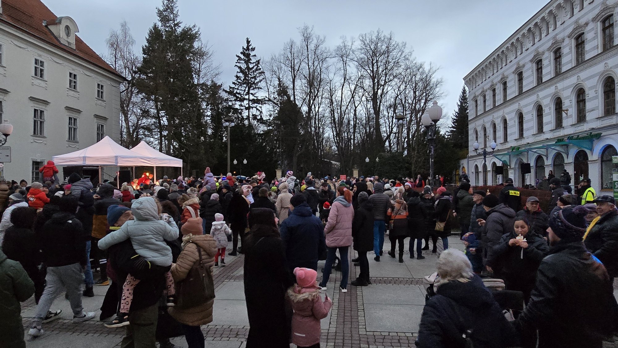 choinka-w-cieplicach-juz-swieci-129526
