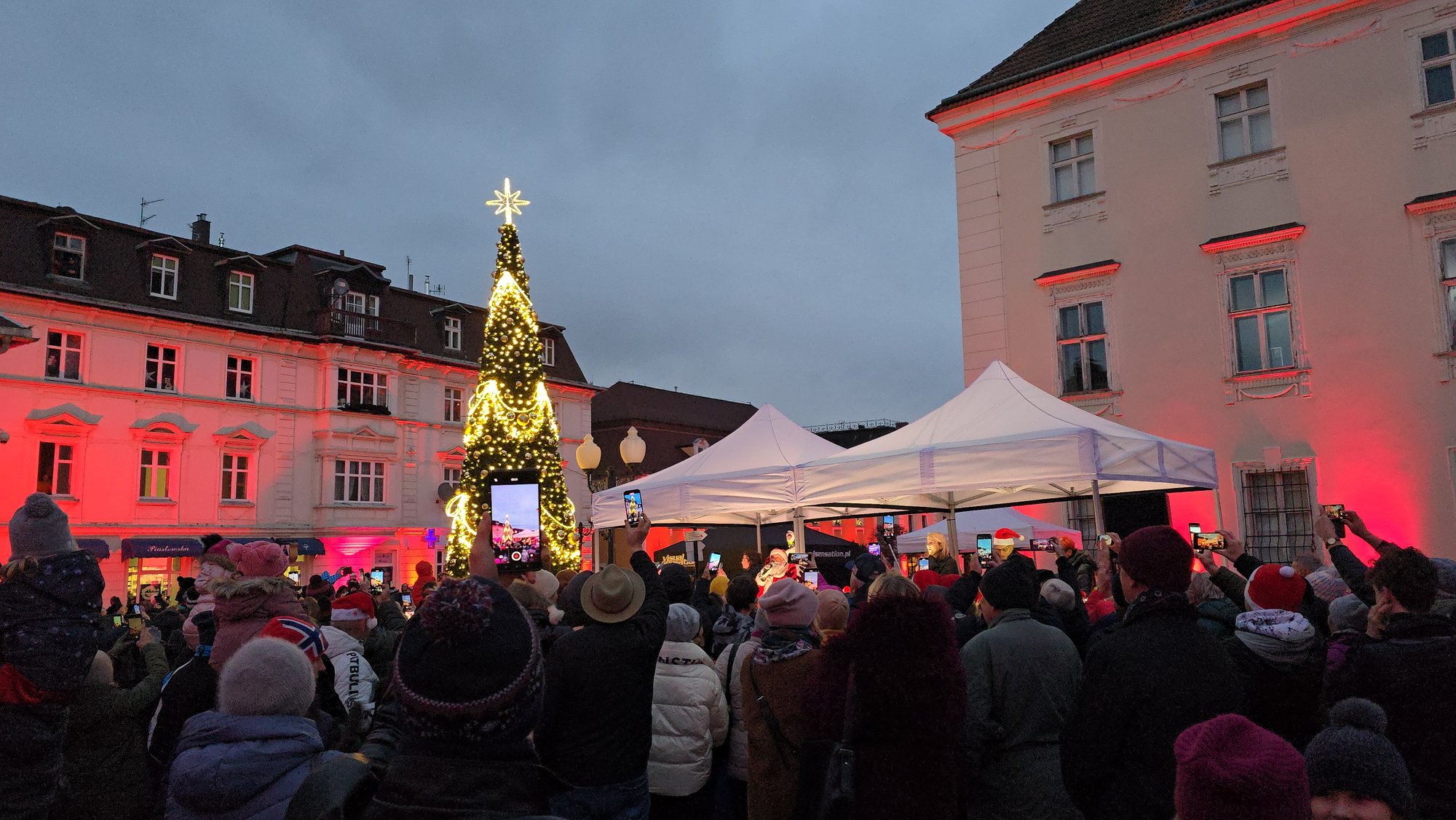 choinka-w-cieplicach-juz-swieci-129526