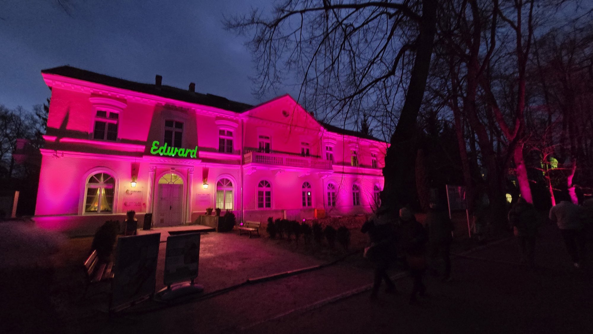 choinka-w-cieplicach-juz-swieci-129526