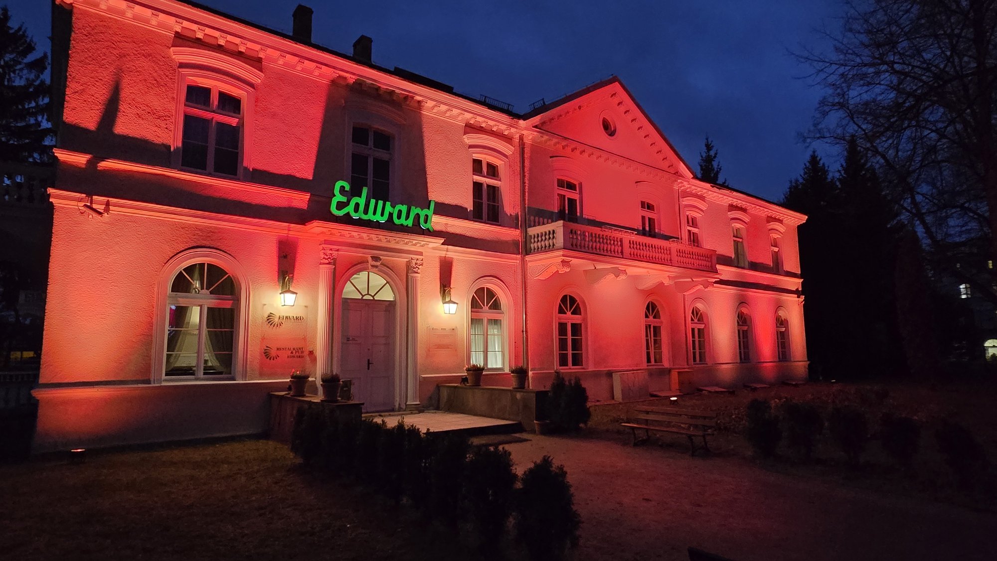 choinka-w-cieplicach-juz-swieci-129526