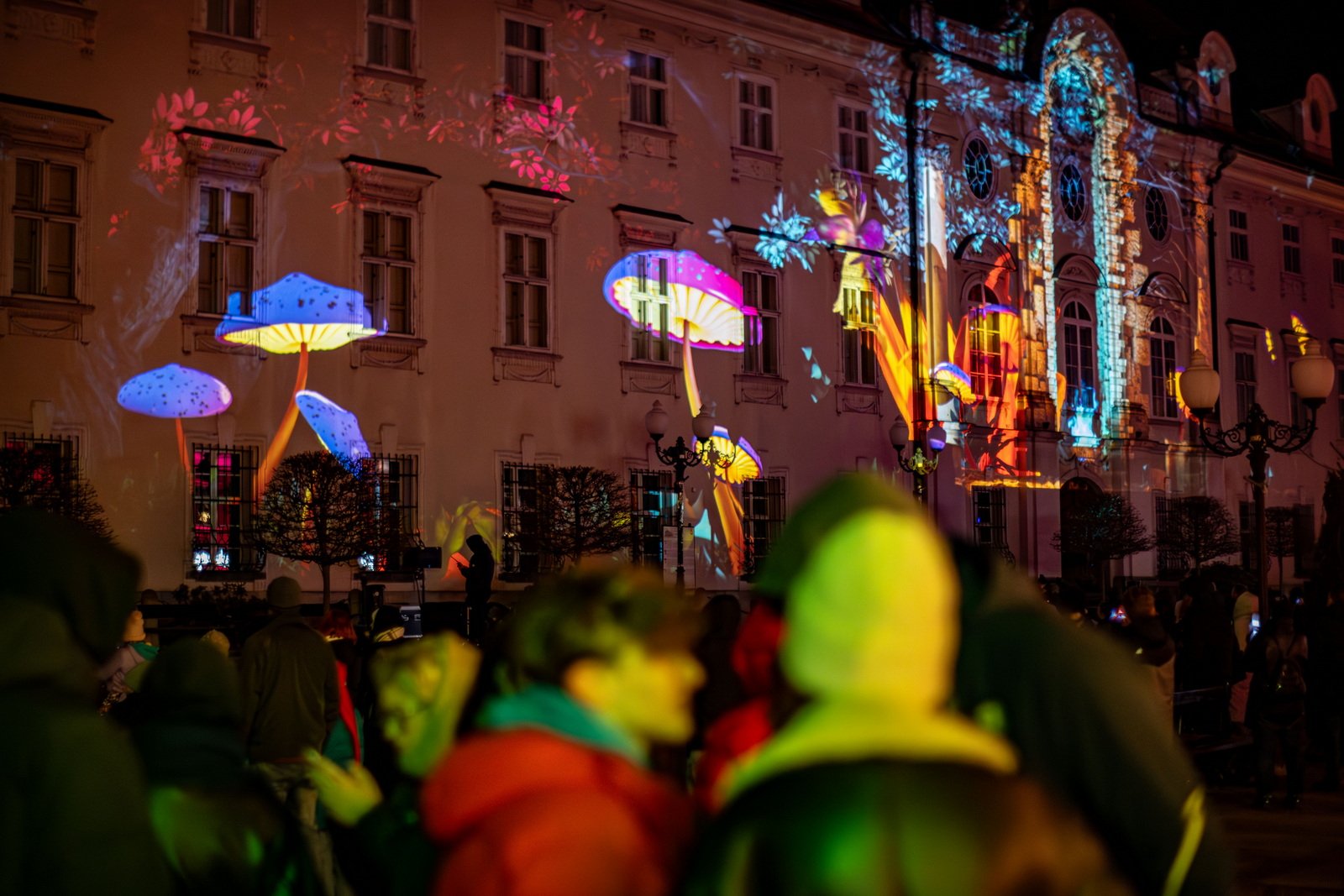 kolorowe-cieplice-rozswietlone-festiwalem-swiata-129549
