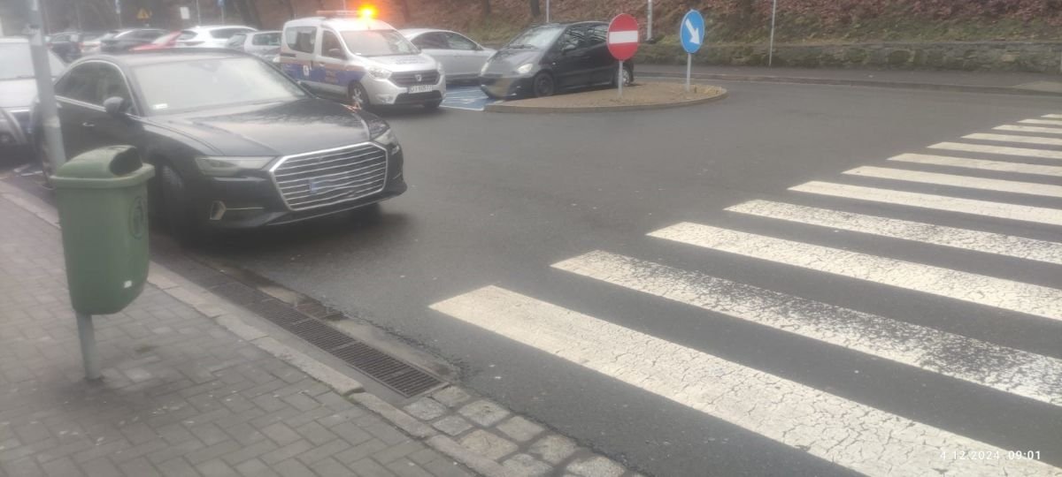 zebra-to-nie-miejsce-do-parkowania-129565