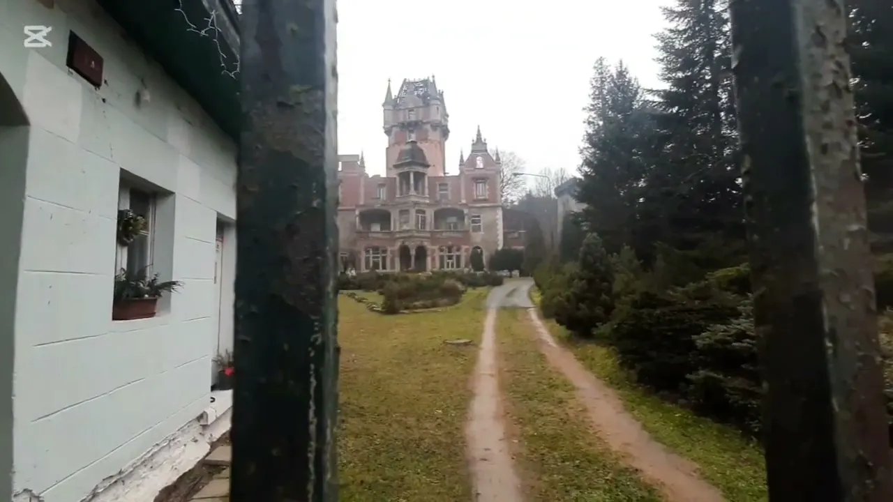 paac-bobrow-byby-dobry-na-dom-dla-harrego-pottera-129593