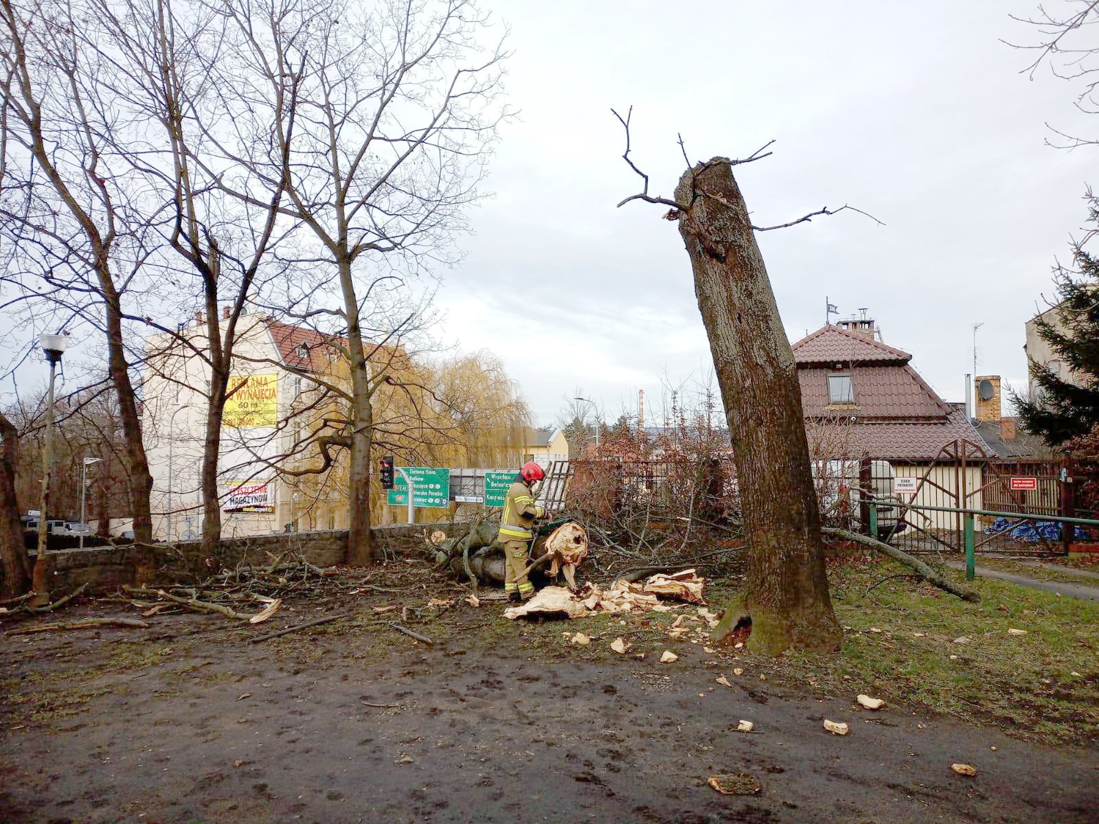 strazacy-walczyli-ze-skutkami-wichury-130139