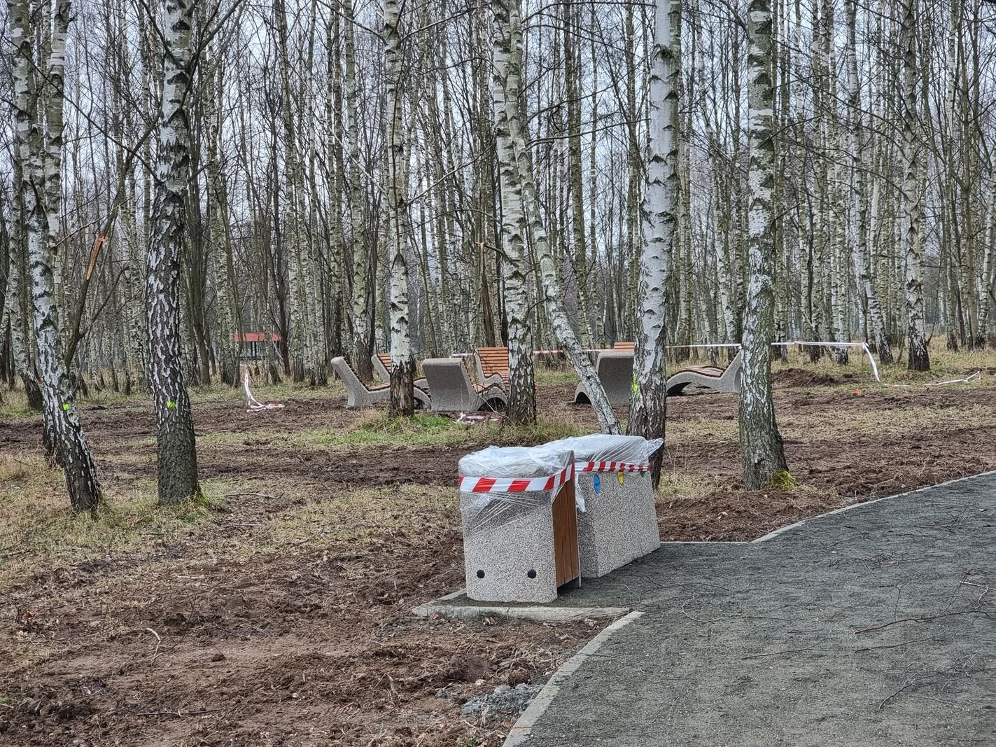roboty-przy-brzozowym-zakatku-130150