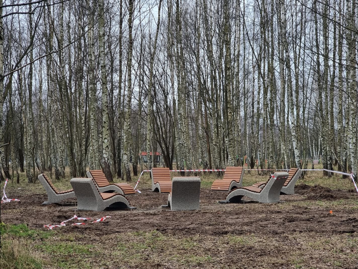 roboty-przy-brzozowym-zakatku-130150