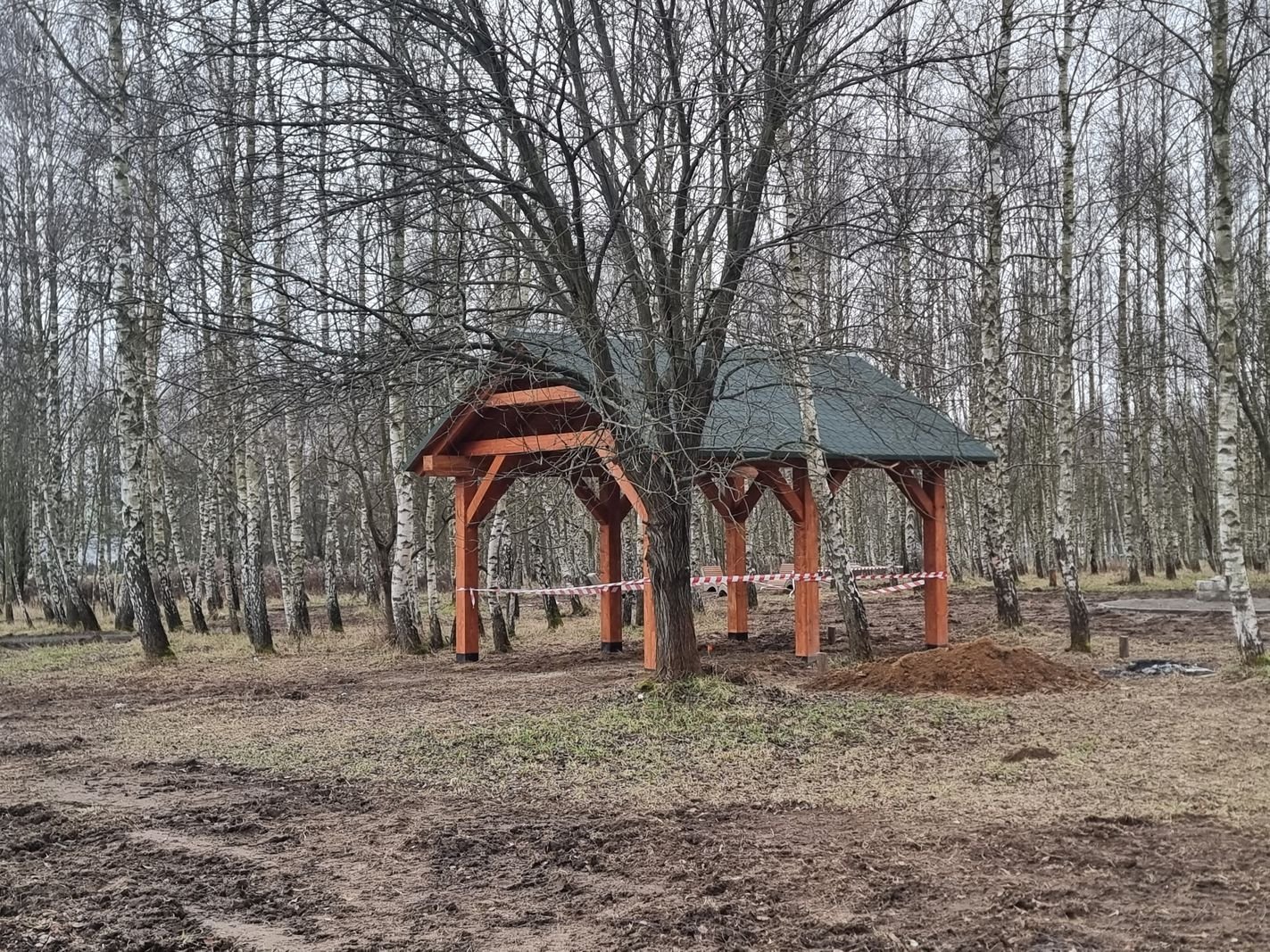 roboty-przy-brzozowym-zakatku-130150