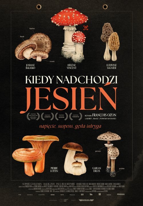 co-bedzie-sie-dziao-w-miescie-i-regionie-130291
