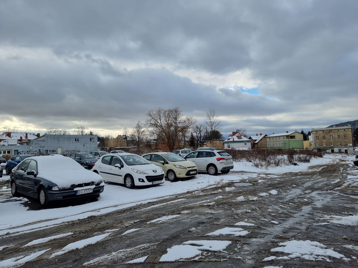 szwajcarzy-wespra-zagospodarowanie-flory-130345