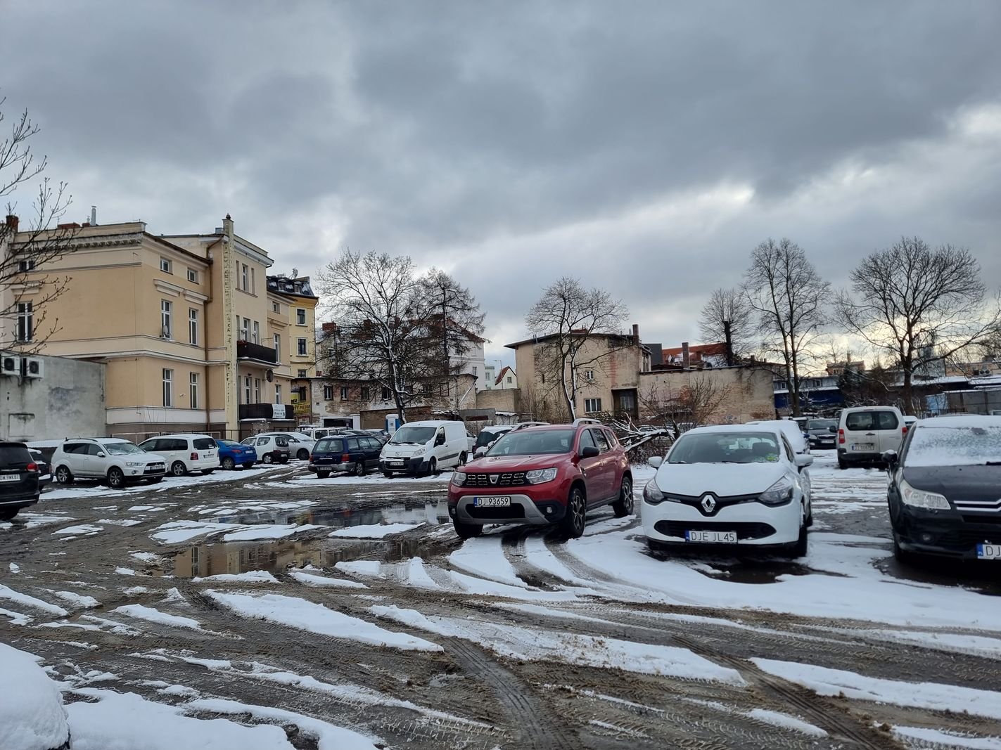 szwajcarzy-wespra-zagospodarowanie-flory-130345