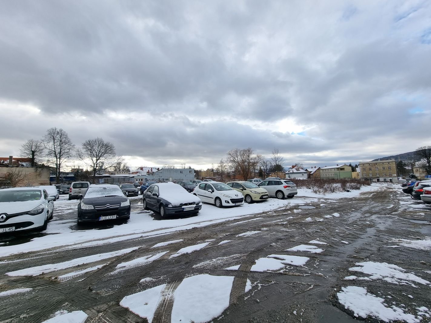 szwajcarzy-wespra-zagospodarowanie-flory-130345