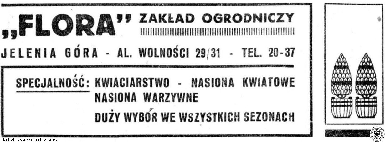flora-juz-nie-jest-jak-stokrotka-130468