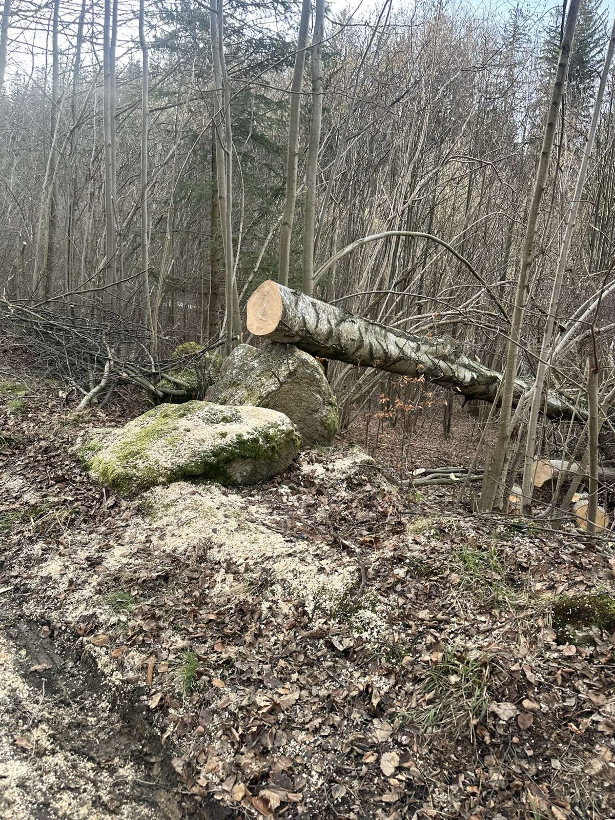 gruszkow-i-struznica-bez-pradu-130590