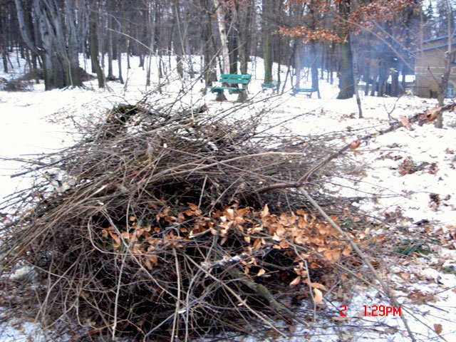 pona-ogniska-na-wzgorzu-kosciuszki-13084