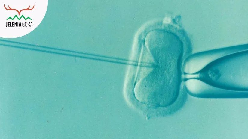 pierwsze-dziecko-z-in-vitro-za-miejskie-pieniadze-130994