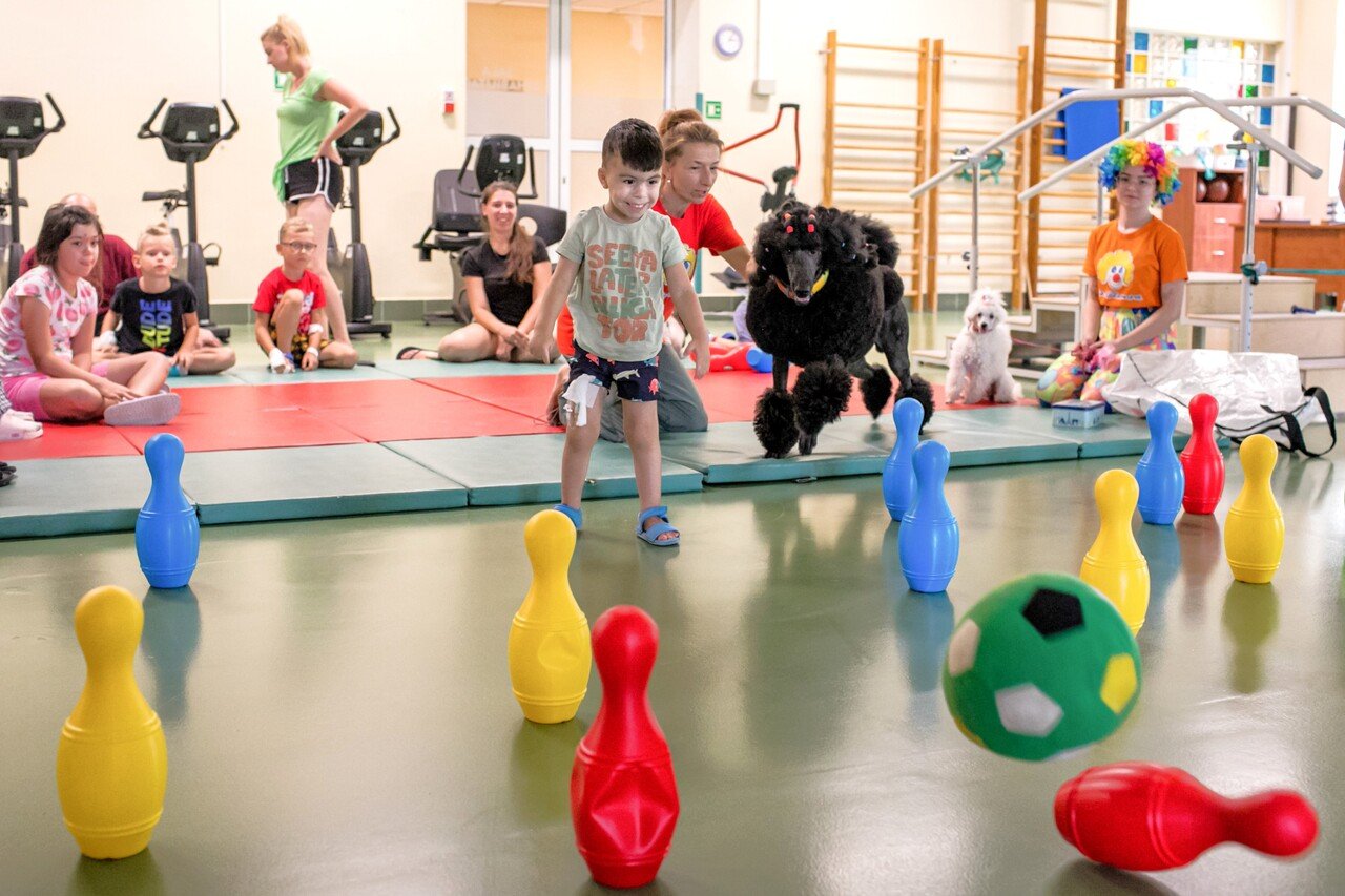 psy-rowniez-lecza-gownie-dzieci-i-seniorow-131066