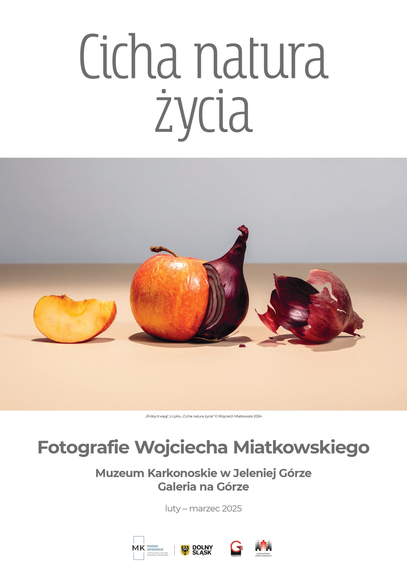cicha-natura-zycia-wernisaz-wystawy-fotografii-wojciecha-miatkowskiego-131136