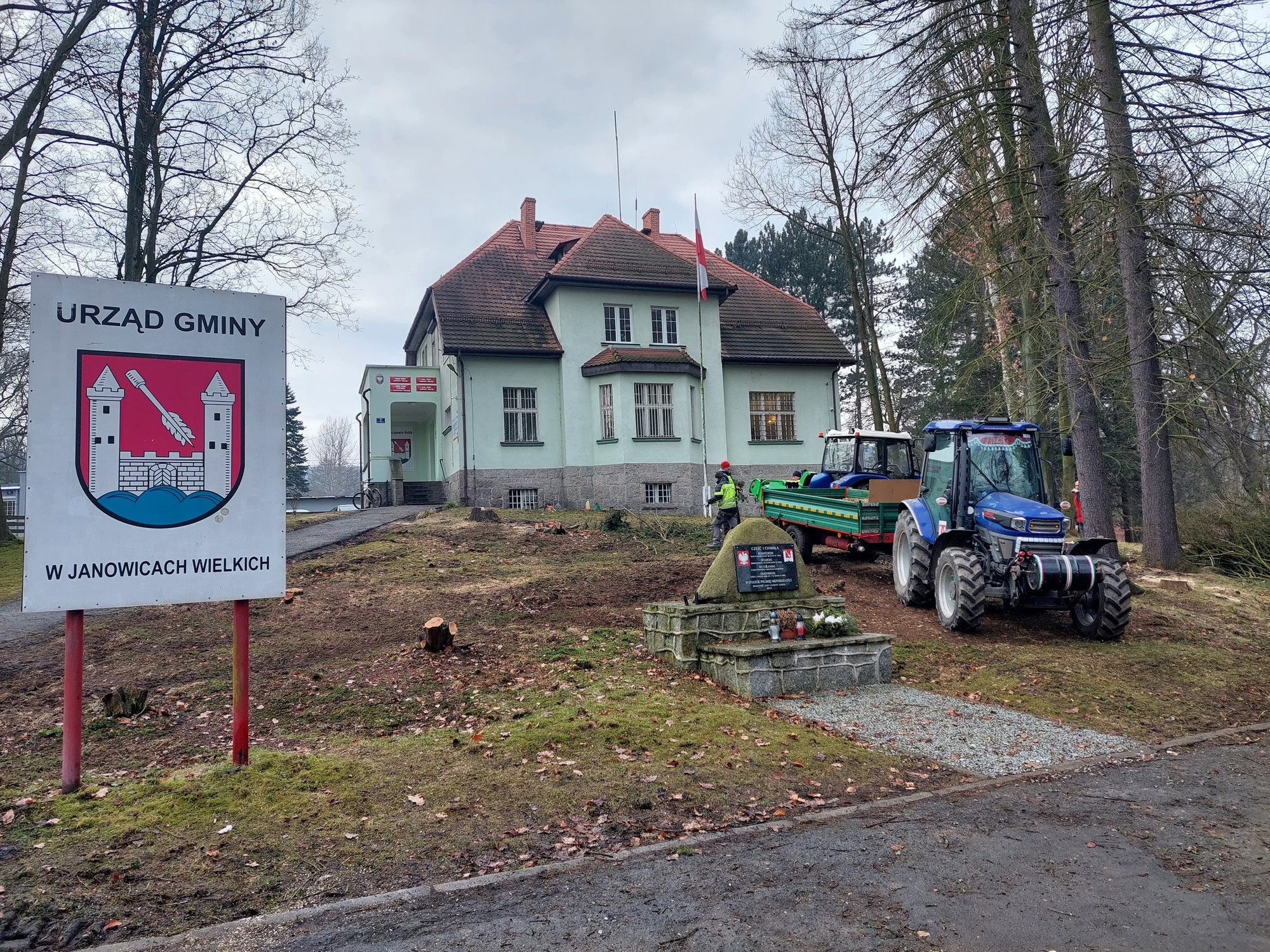 wycinka-drzew-przed-urzedem-gminy-131306