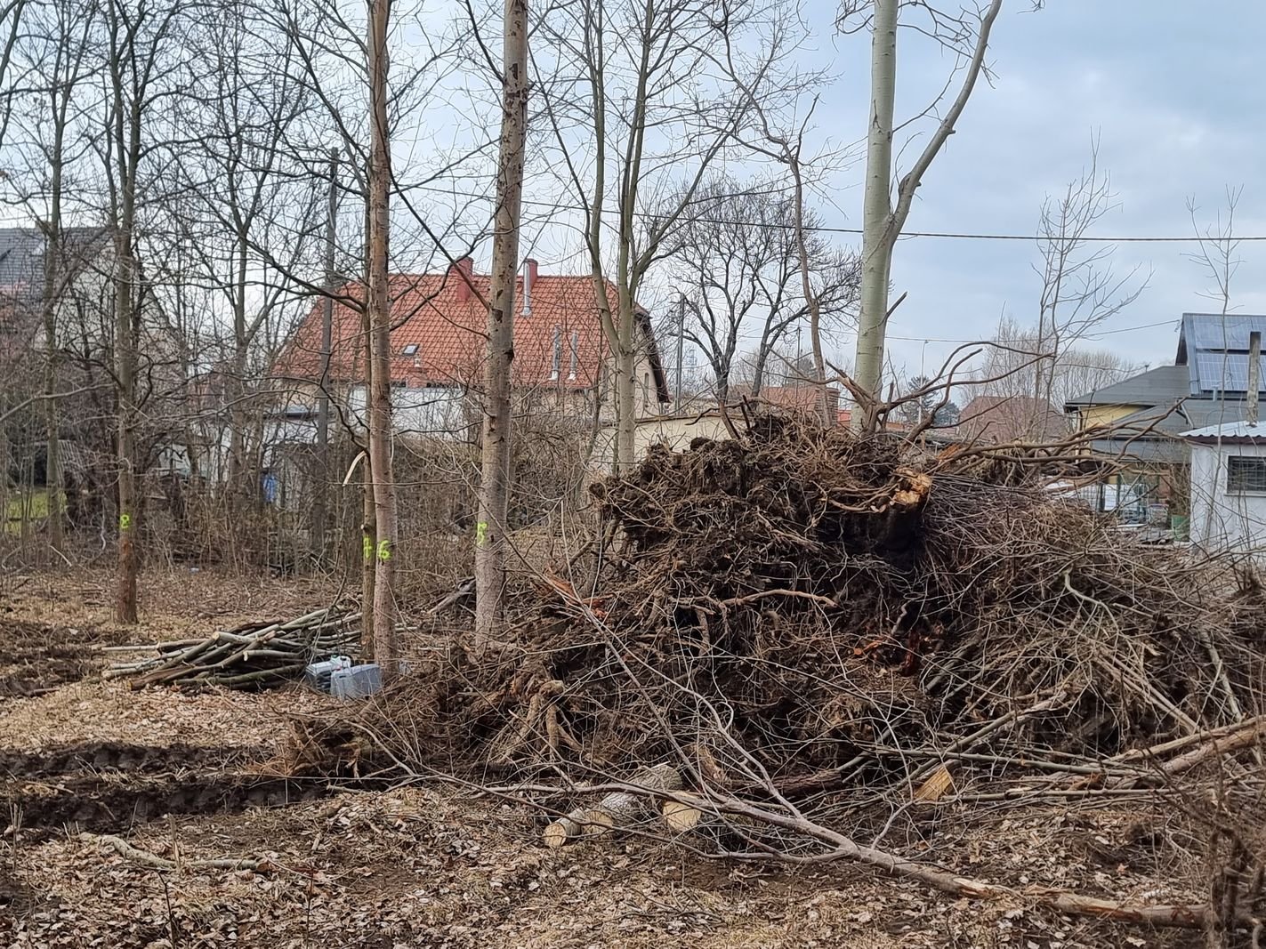 tu-stana-nowe-budynki-komunalne-131394