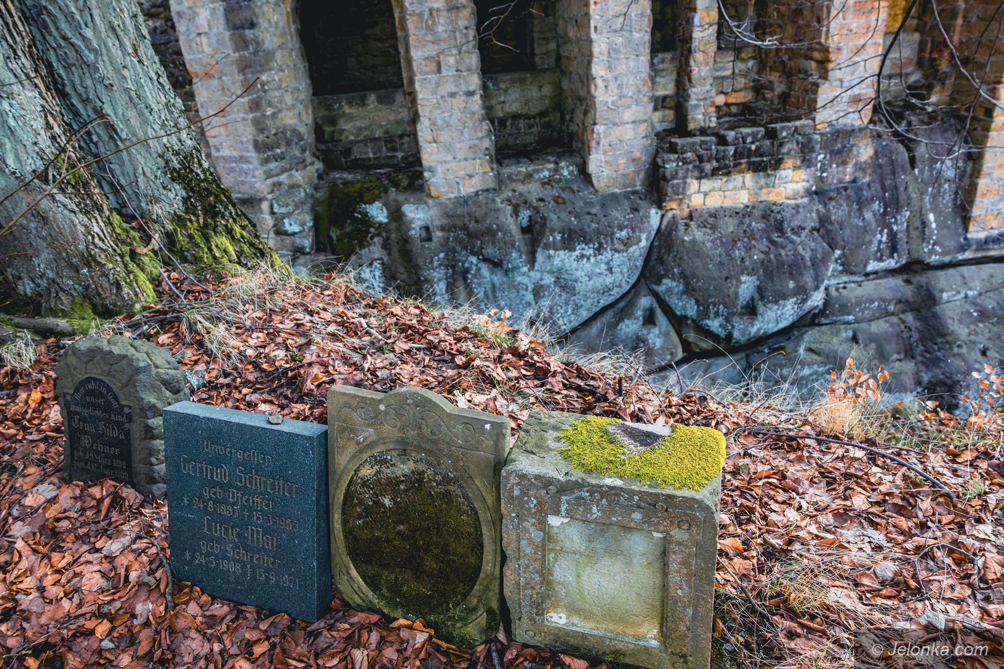 klasztor-oybin-131519