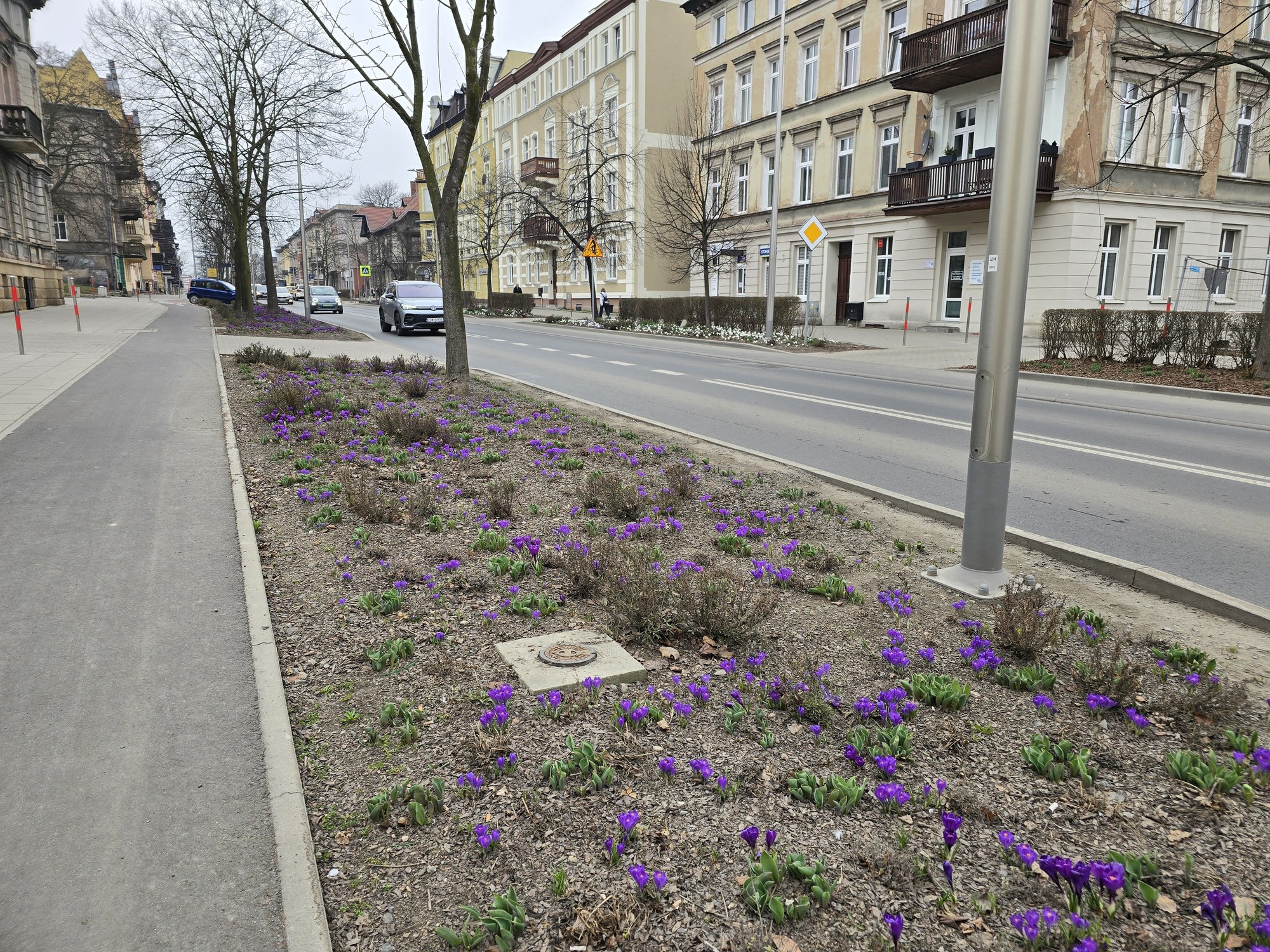 kwiatki-zdobia-ulice-jeleniej-gory-131535