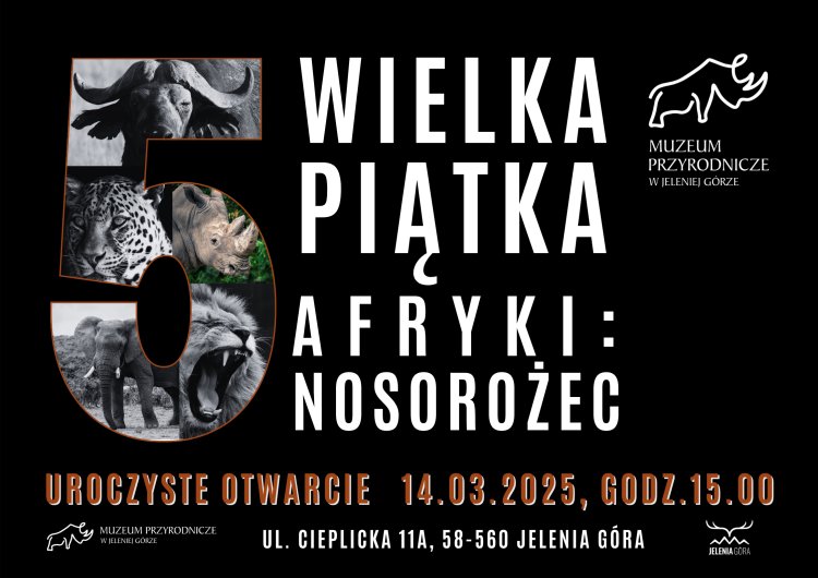 co-bedzie-sie-dziao-w-miescie-i-regionie-131556
