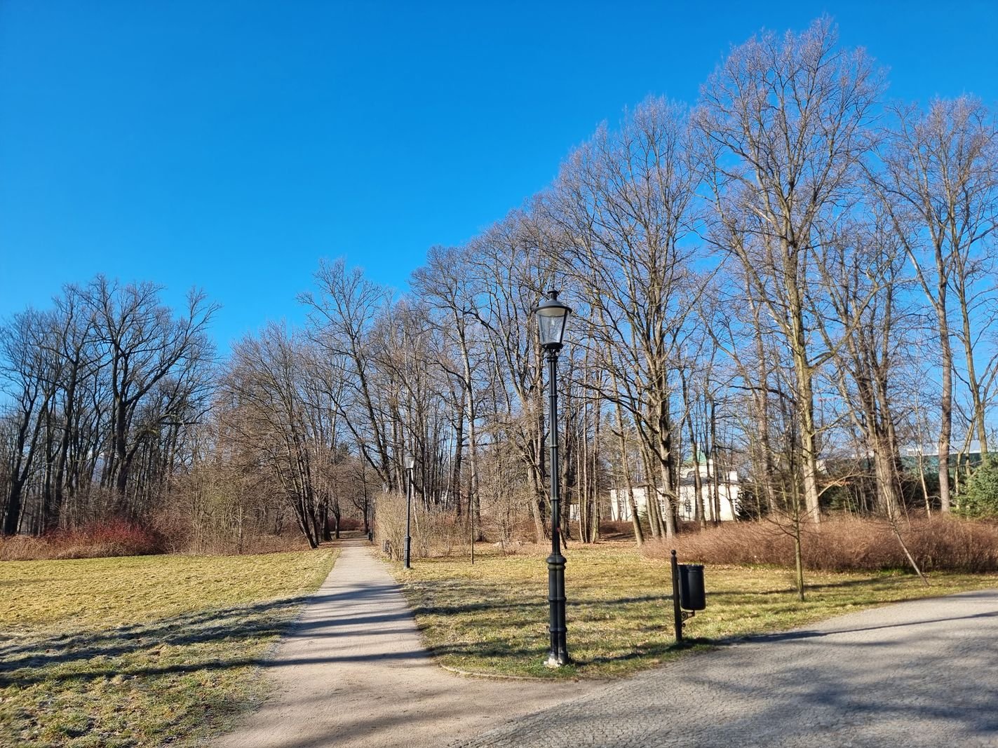 wiosenne-sprzatanie-w-cieplickich-parkach-131730