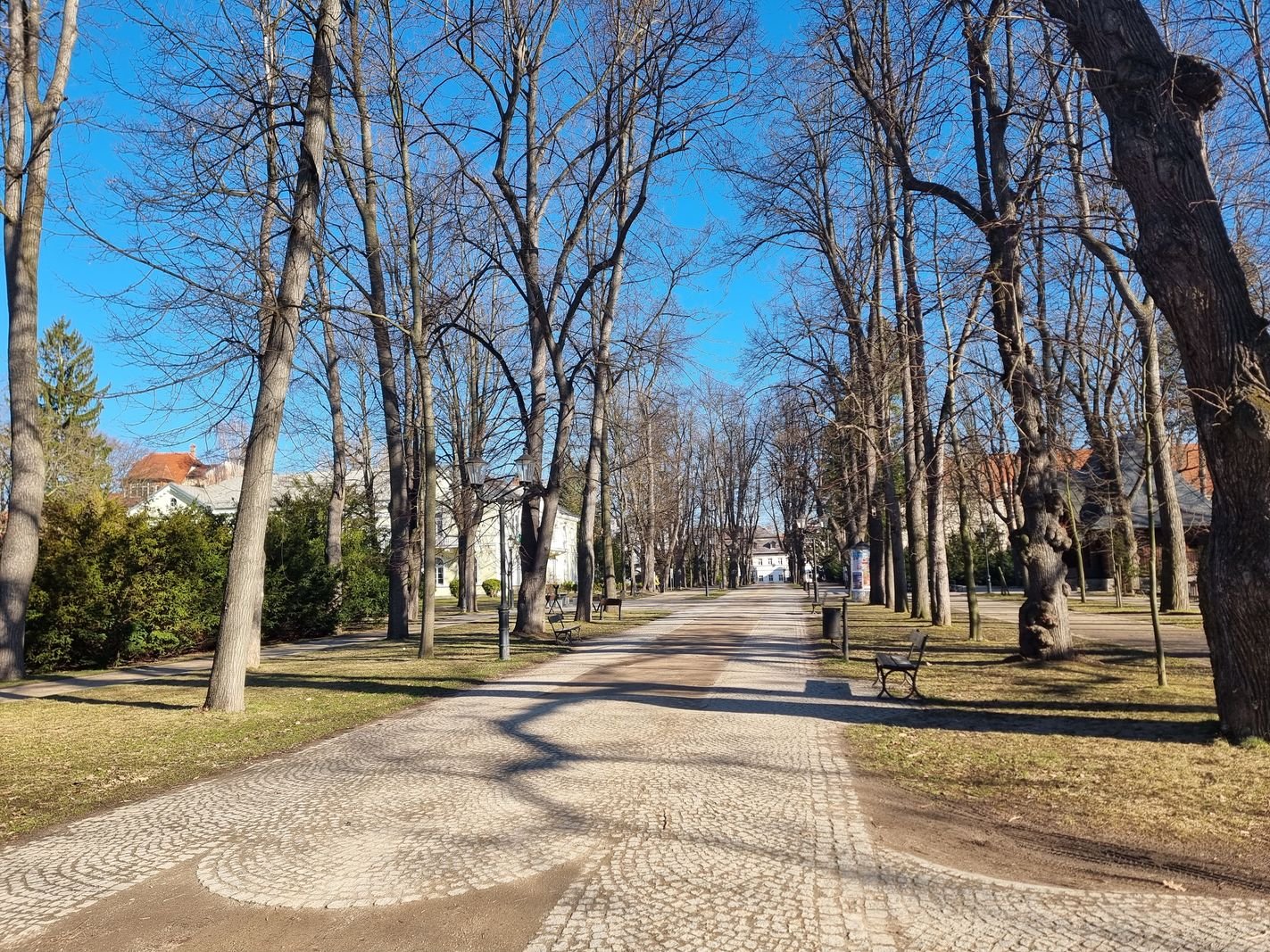 wiosenne-sprzatanie-w-cieplickich-parkach-131730