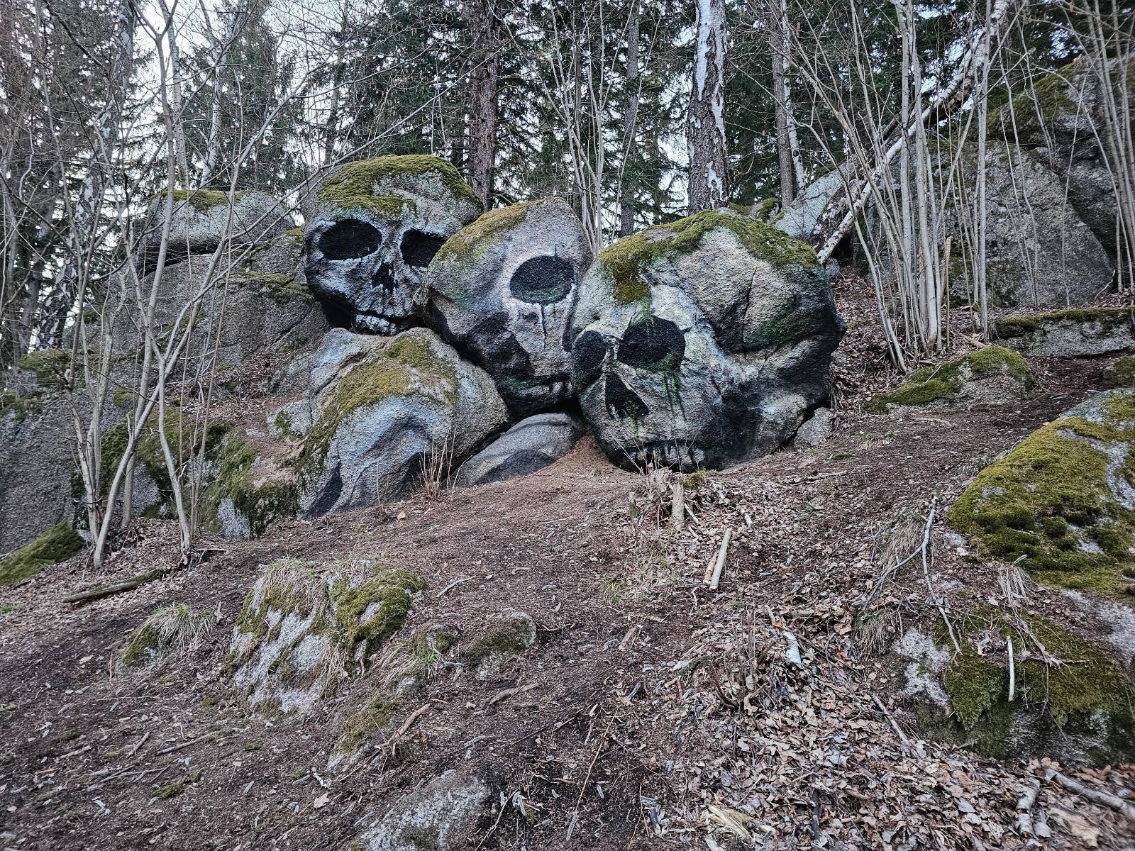 czaszki-maja-sie-dobrze-131779