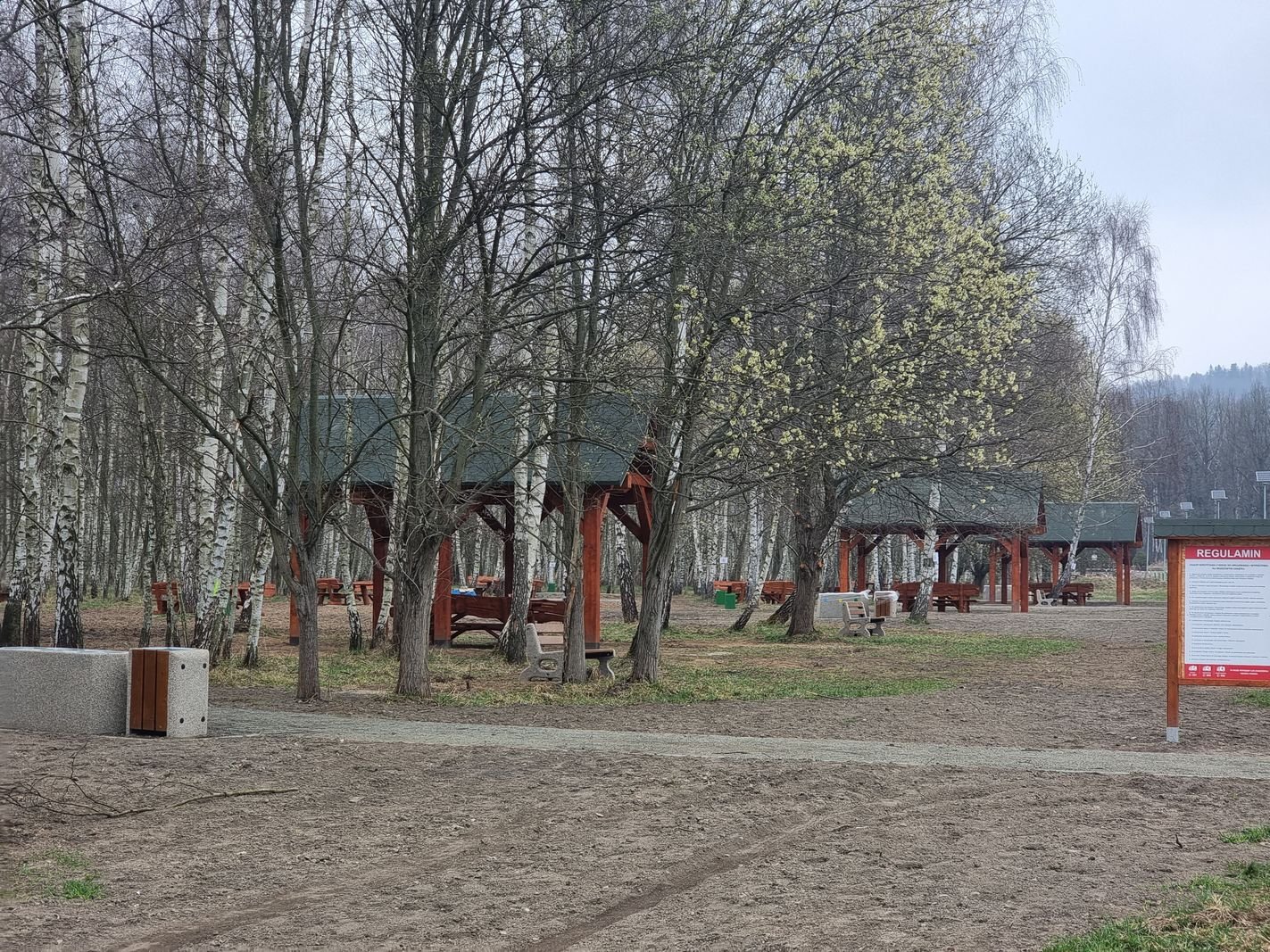brzozowy-zakatek-juz-gotowy-132010