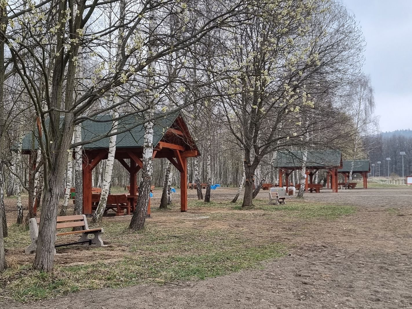 brzozowy-zakatek-juz-gotowy-132010
