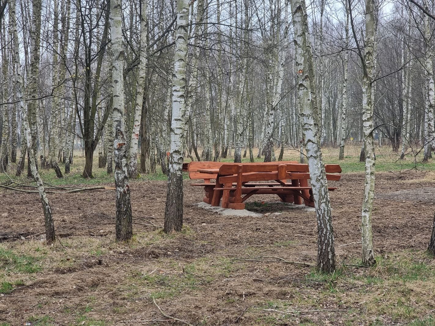 brzozowy-zakatek-juz-gotowy-132010