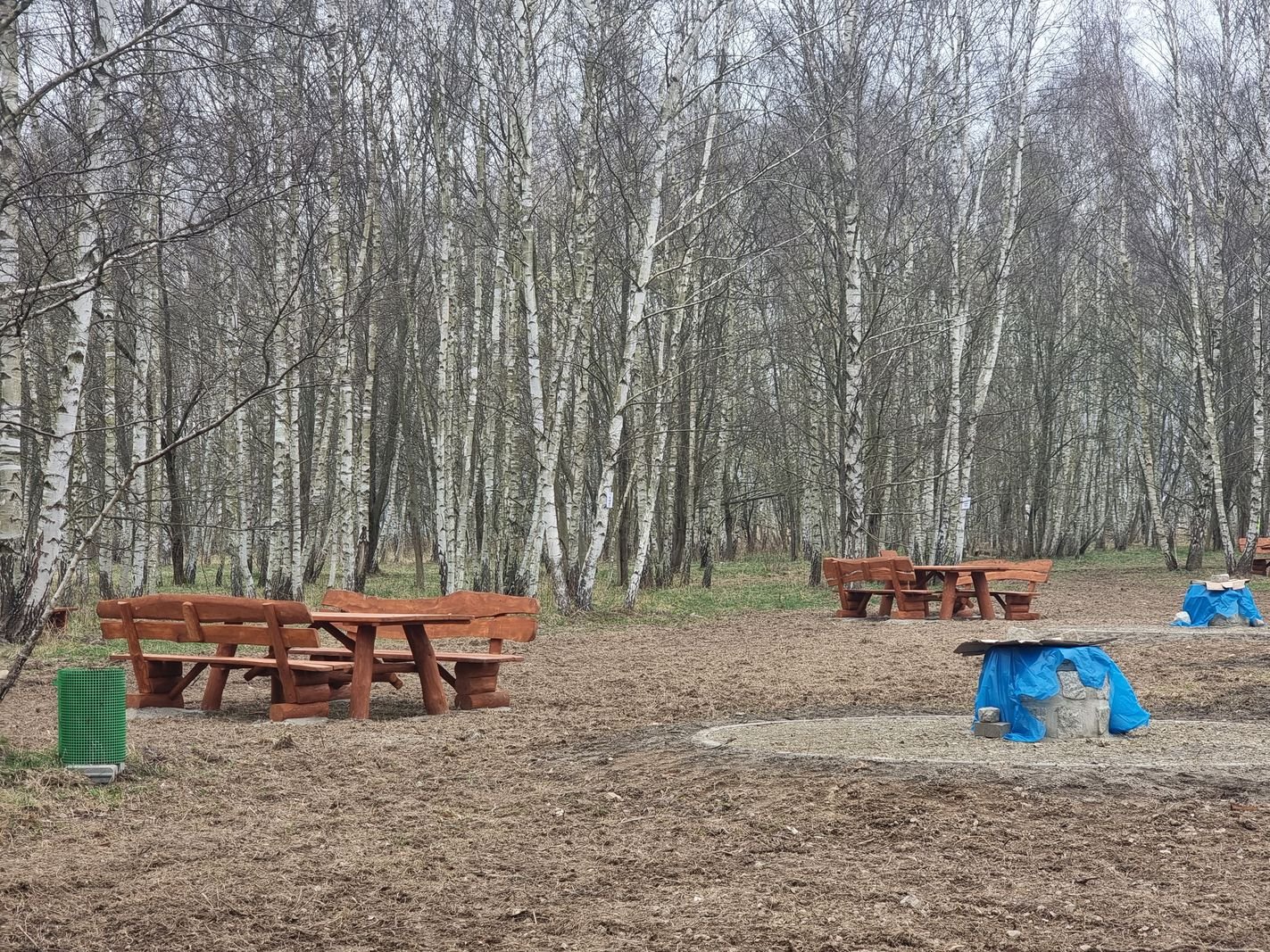 brzozowy-zakatek-juz-gotowy-132010