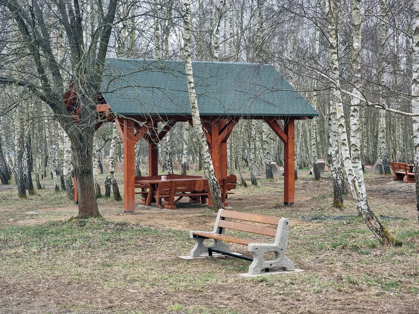 brzozowy-zakatek-juz-gotowy-132010