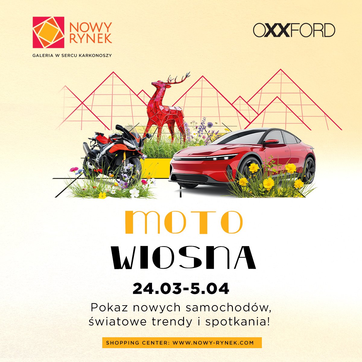 samochody-i-motocykle-w-nowym-rynku-132021