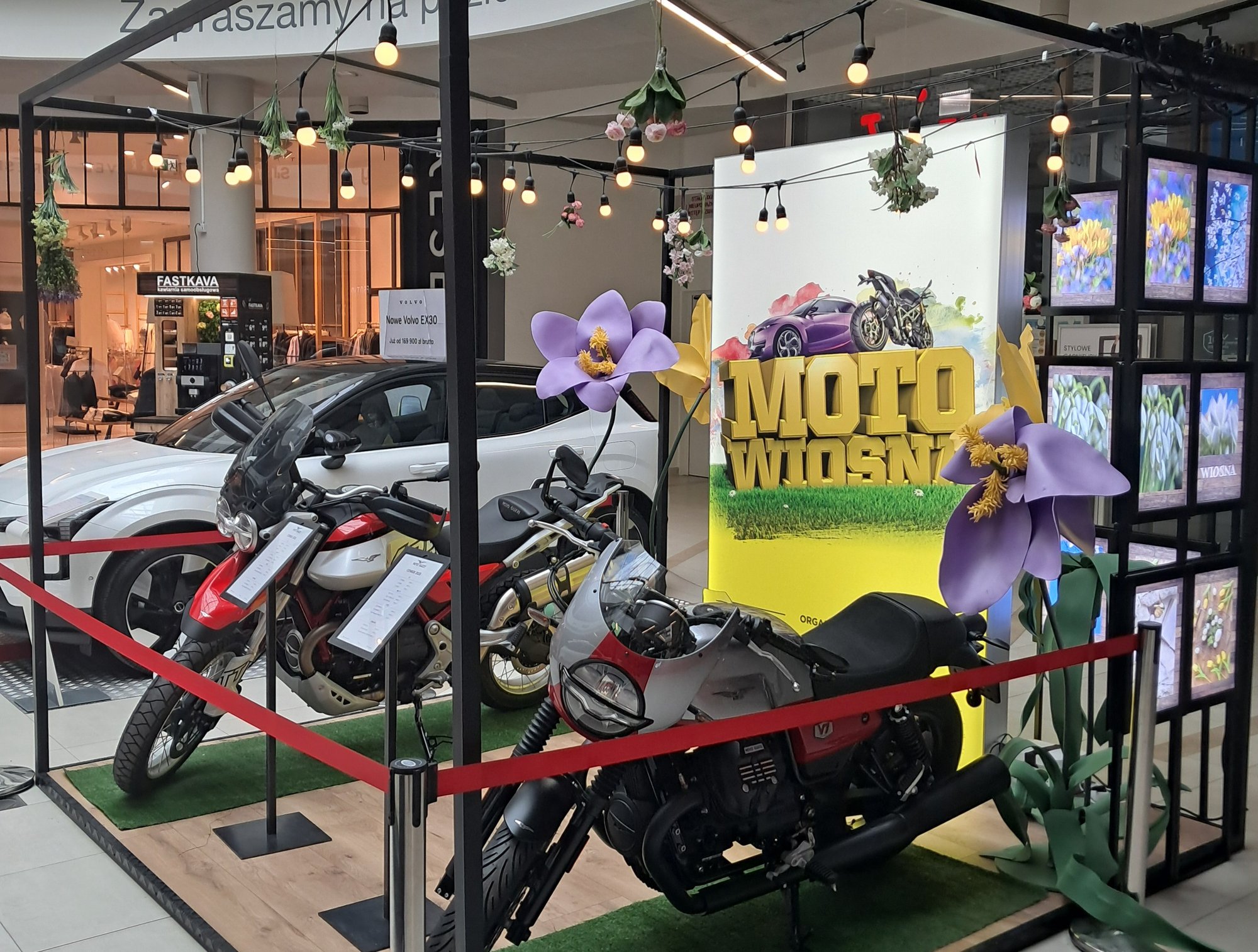 samochody-i-motocykle-w-nowym-rynku-132021