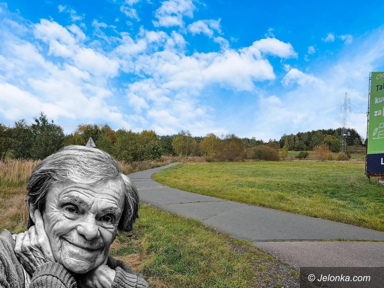 krystyna-feldman-czyli-popularna-babcia-kiepska-patronka-alejki-132026