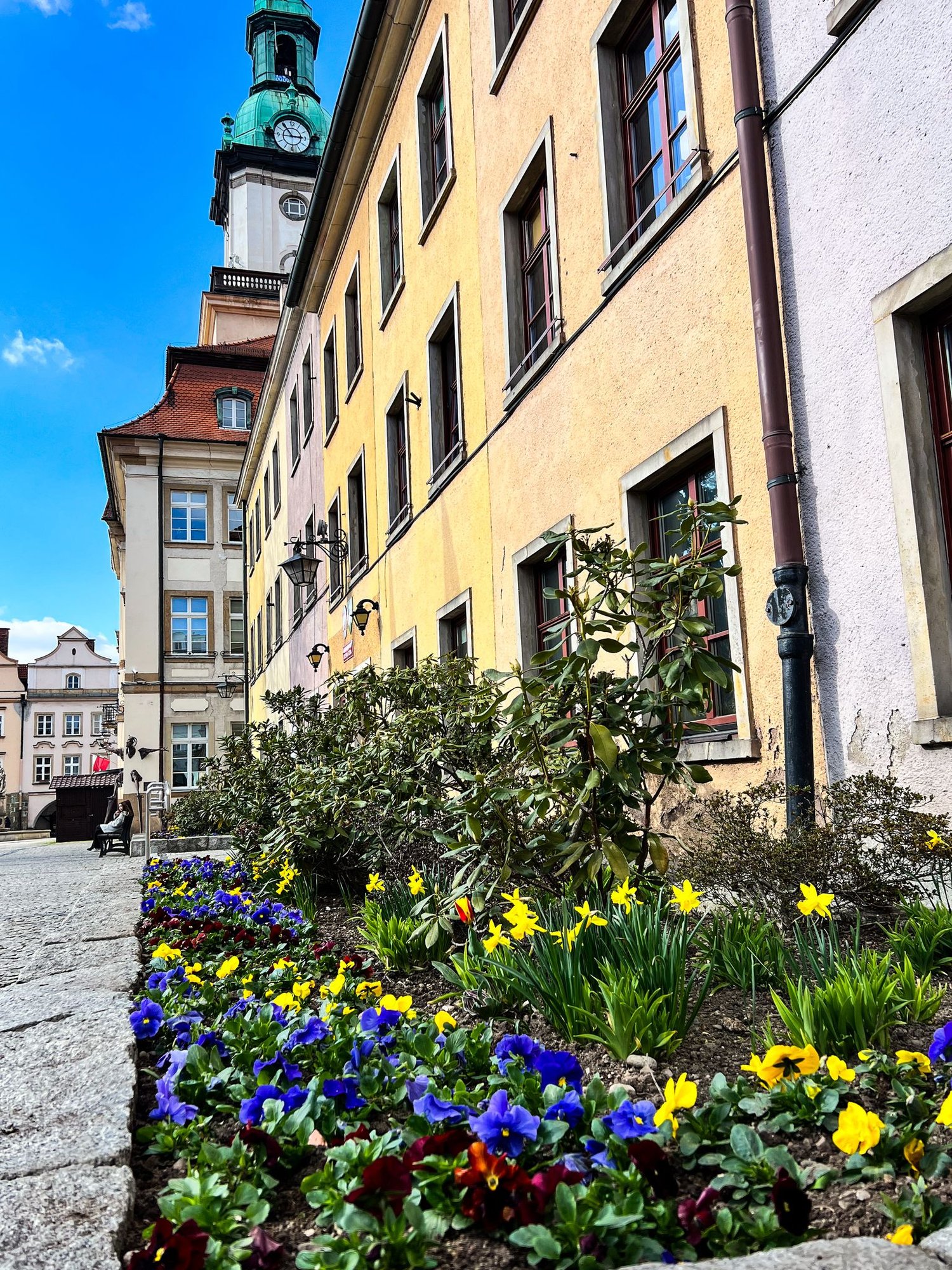 wiosenne-kwiaty-w-parkach-i-ulicach-132031