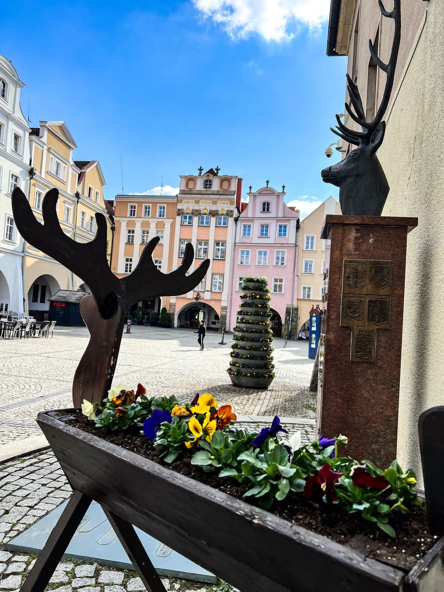wiosenne-kwiaty-w-parkach-i-ulicach-132031